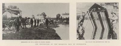 De Voorkoming van de Muggenplaag door Petroleum door English Photographer