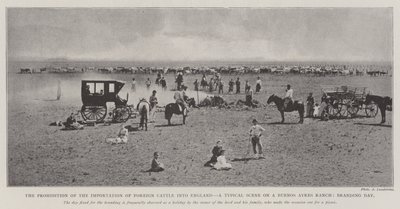 Het verbod op de invoer van buitenlandse vee naar Engeland, een typische scène op een ranch in Buenos Ayres, merkdag door English Photographer