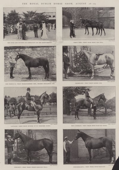 De Koninklijke Dublin Paardenshow, 26-29 augustus door English Photographer