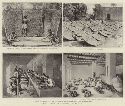 De Zijde-industrie in India door English Photographer