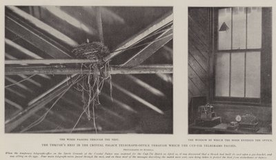 Het nest van de lijster in het Crystal Palace telegraafkantoor waar de bekerwedstrijdtelegrammen doorheen gingen door English Photographer