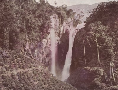 De Tweelingwatervallen (Koffie groeit op de voorgrond), Ceylon door English Photographer