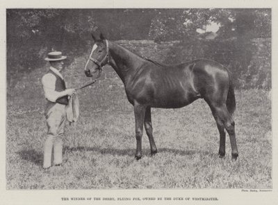 De Winnaar van de Derby, Flying Fox, eigendom van de Hertog van Westminster door English Photographer