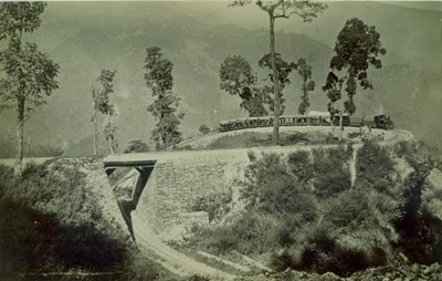 De lus bij Agony Point in Tindharia op de Darjeeling Himalayan Railway, 1880s door English Photographer