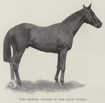 Tom Cringle, winnaar van de Ascot Stakes door English Photographer