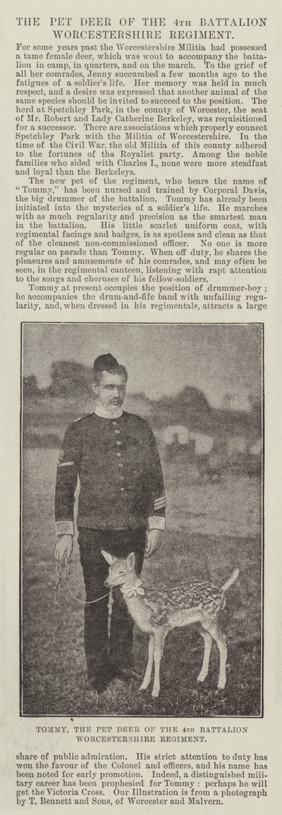 Tommy, het huisdier hert van het 4e bataljon Worcestershire Regiment door English Photographer