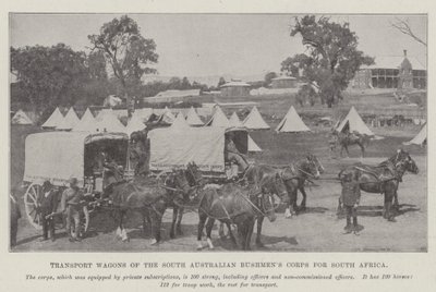 Transportwagens van het Zuid-Australische Bushmens Corps voor Zuid-Afrika door English Photographer