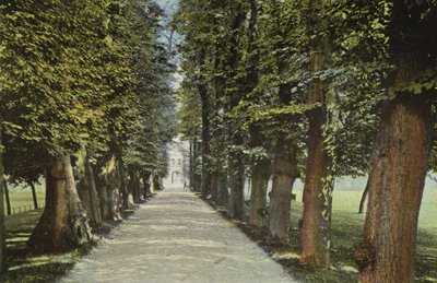 Trinity College, de Laan door English Photographer