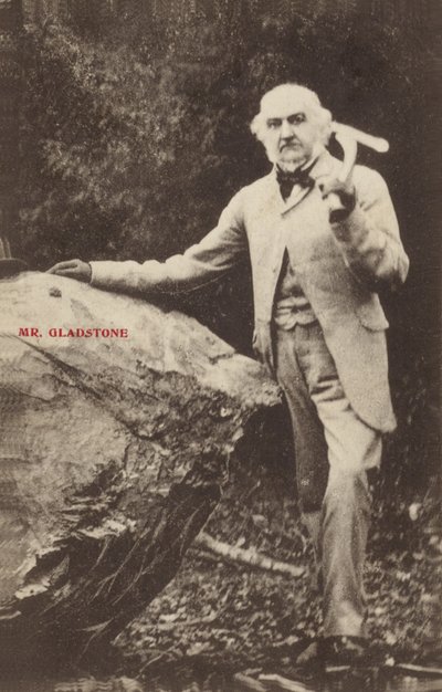 William Ewart Gladstone door English Photographer