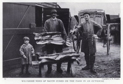 Wiltshire spekzijden gerookt op de boerderij in een bijgebouw door English Photographer