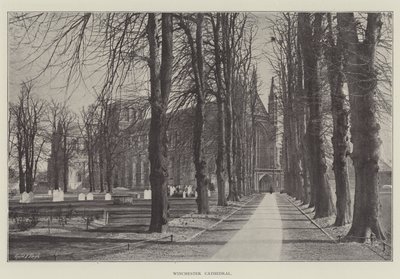 Kathedraal van Winchester door English Photographer