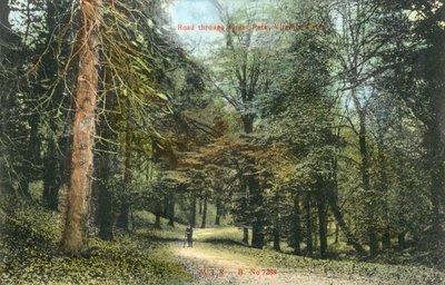 Windsor Great Park, Virginia Water door English Photographer