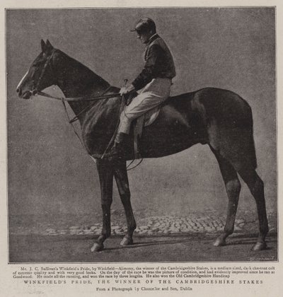 Winkfields Pride, de winnaar van de Cambridgeshire Stakes door English Photographer