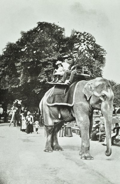 Dierentuin, Regents Park: olifantenritten, Londen, ca. 1895 door English Photographer