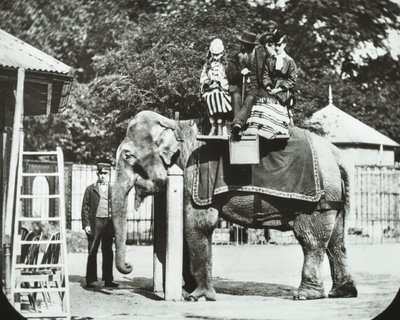 Dierentuin, Regents Park: olifant met volwassenen en kinderen die een ritje maken, Londen Zoo, 1894 door English Photographer