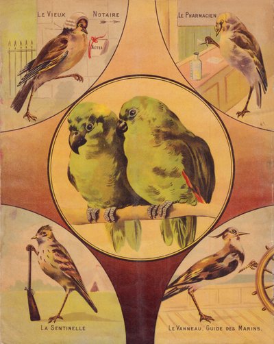 4e omslag: paar vogels en andere vogels, Engels door English School