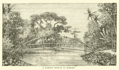 Een Bamboebrug in Borneo door English School
