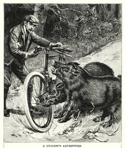 Een avontuur van een fietser door English School