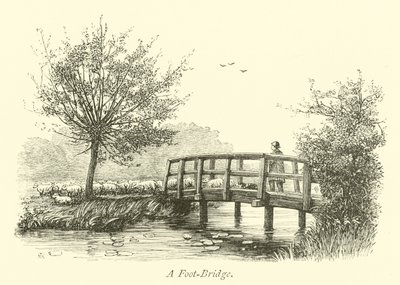 Een voetbrug door English School