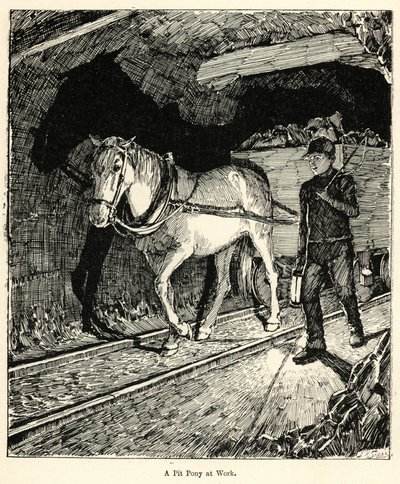 Een mijnpony aan het werk (gravure) door English School