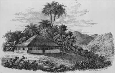 Een plantershuis in Brazilië (lithografie) door English School