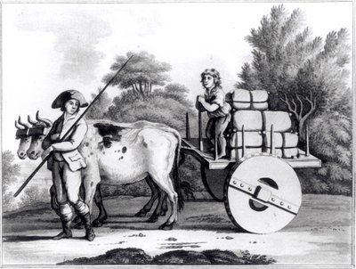 Een Portugese Boerderij, uit Een Algemeen Overzicht van de Staat van Portugal door James Murphy, gepubliceerd 1797 door English School