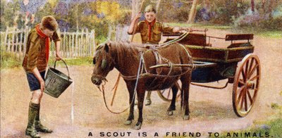 Een Scout is een Vriend van Dieren, 1929 door English School