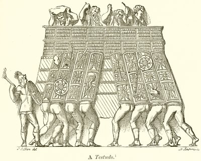 Een Testudo door English School