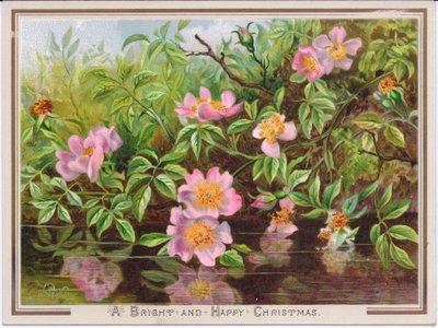 Een Victoriaanse kerstkaart die een struik van hondsrozen bij een stroom uitbeeldt, ca. 1880 door English School