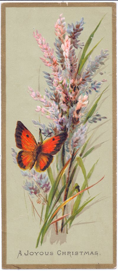 Een Victoriaanse kerstkaart van een vlinder tussen hoge grassen, c.1880 door English School