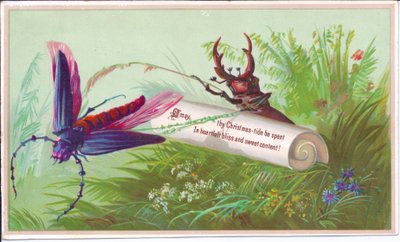 Een Victoriaanse kerstkaart van een insect, hertkever en rol met een kerstboodschap, circa 1880 door English School