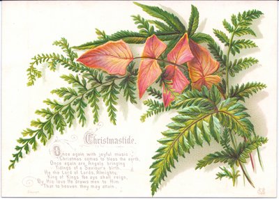 Een Victoriaanse kerstkaart met een bos varens, ca. 1880 door English School