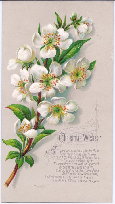 Een Victoriaanse kerstkaart met een takje kerstrozen en een vers door English School