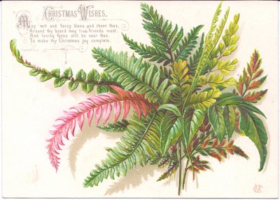 Een Victoriaanse kerstkaart met een bos varens, ca. 1880 door English School