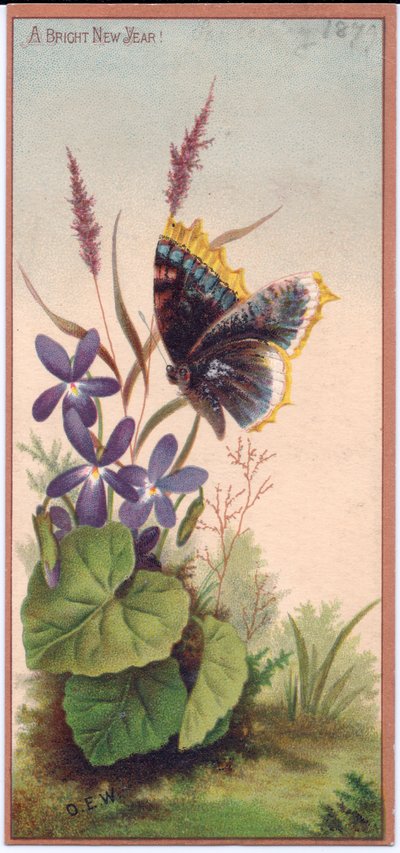 Een Victoriaanse nieuwjaarskaart met viooltjes en een vlinder, ca. 1880 door English School