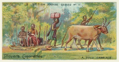 Een Zulu Koets door English School