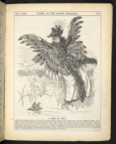 Een roofvogel, uit 