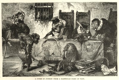 Een rechtbank vanuit een Darwinistisch oogpunt door English School