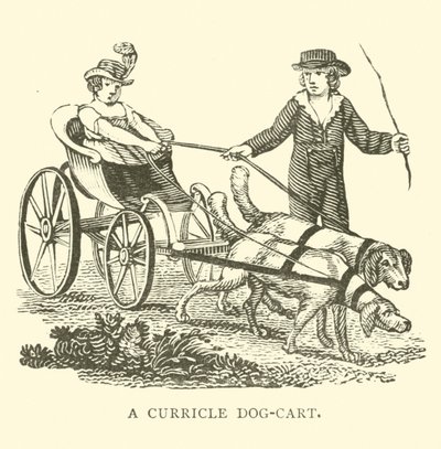 Een curricle dog-cart door English School