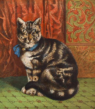 Een modieuze kat (kleurenlitho) door English School