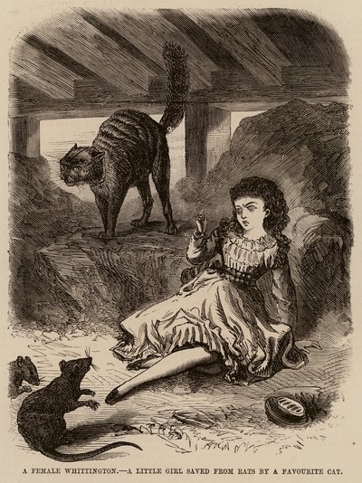 Een vrouwelijke Whittington, een klein meisje gered van ratten door een favoriete kat door English School
