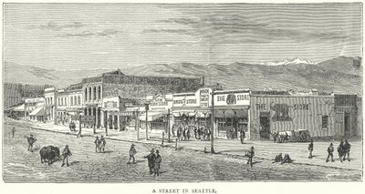 Een straat in Seattle (gravure) door English School