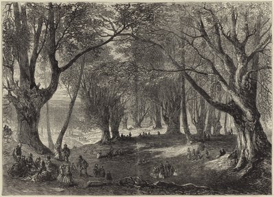Een uitzicht in Epping Forest door English School