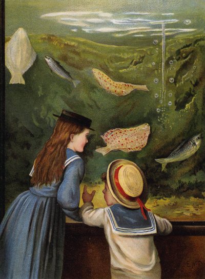 Een bezoek aan het aquarium door English School