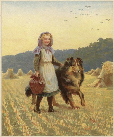 Een jong meisje staand in een veld met haar hand op haar collie door English School