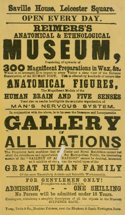 Advertentie voor Reimerss Anatomisch en Etnologisch Museum door English School