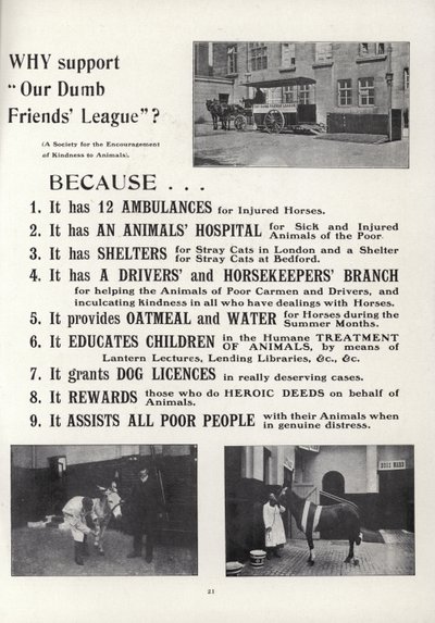 Advertentie voor Our Dumb Friends League door English School