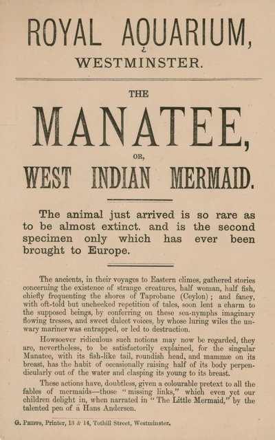 Advertentie voor de lamantijn door English School