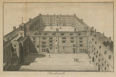 Luchtfoto van Bridewell Palace door English School