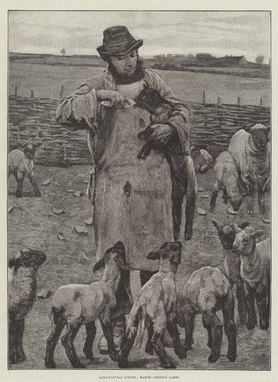Landbouwscènes, maart, lammeren voeren door English School